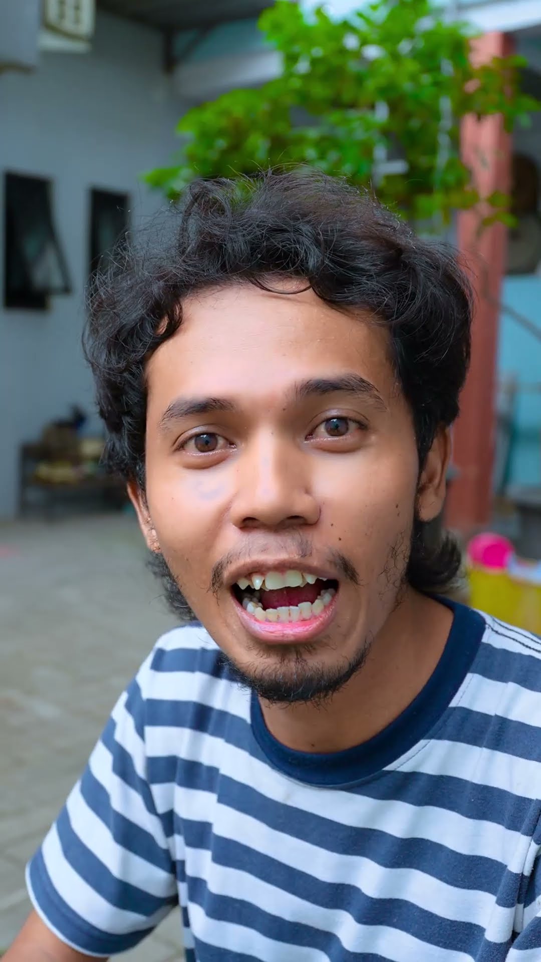 Papoy Dan Aletha Jualan Online #alethaabew